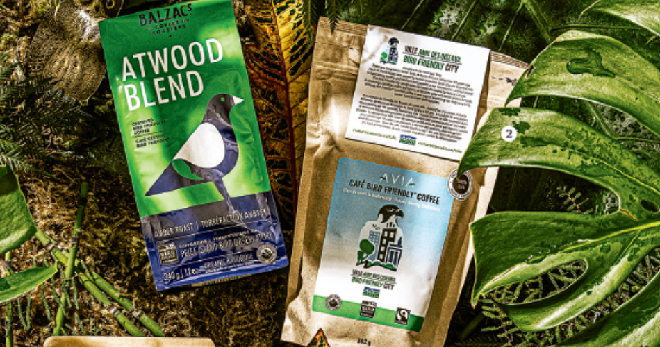 Do It for the Climate: Eco-Friendly Coffee