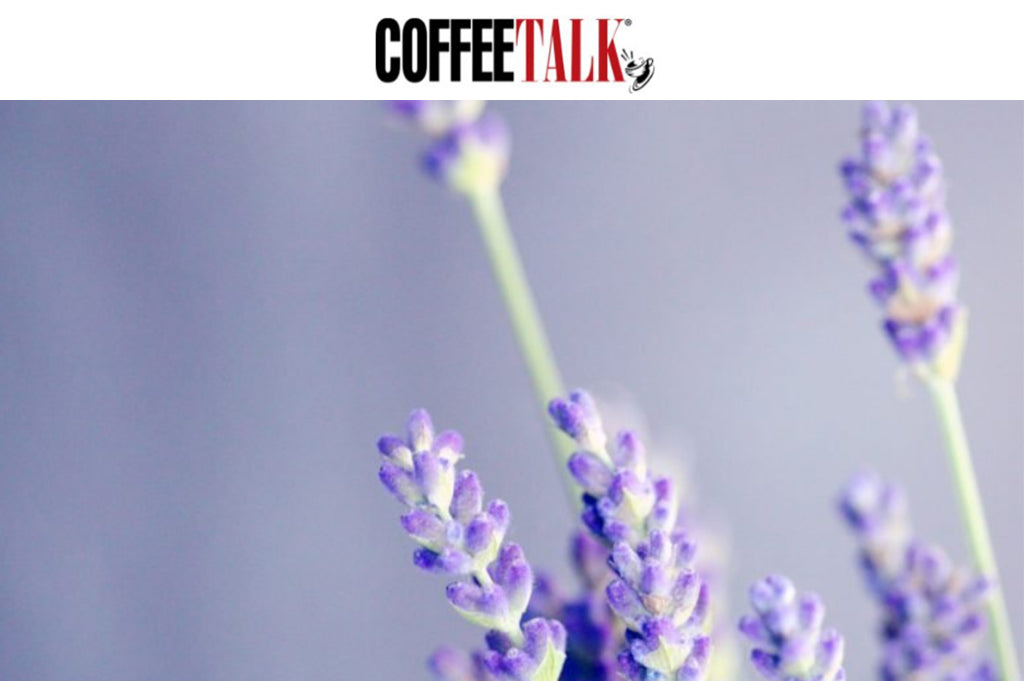 Balzac’s Coffee Roasters Just Launched A Lavender Latte — Try This At-Home Recipe